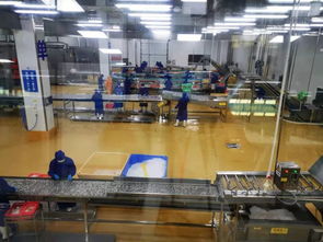 多圖首發！解密水產智能化工廠與文化館，探索未來水產新生態