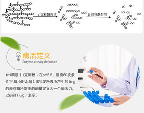 夏盛 β-淀粉酶液體70萬(wàn) 食品添加劑廠(chǎng)家直銷(xiāo)與互聯(lián)網(wǎng)銷(xiāo)售新機(jī)遇