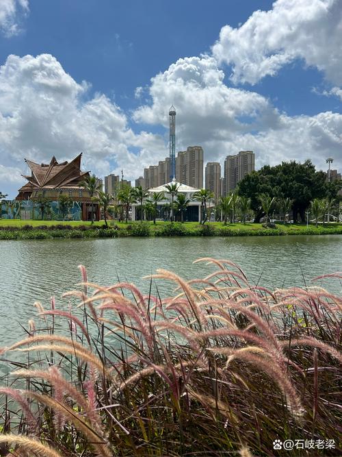 新樂園即將啟幕 工程進入最后調試階段，設施細節引人期待